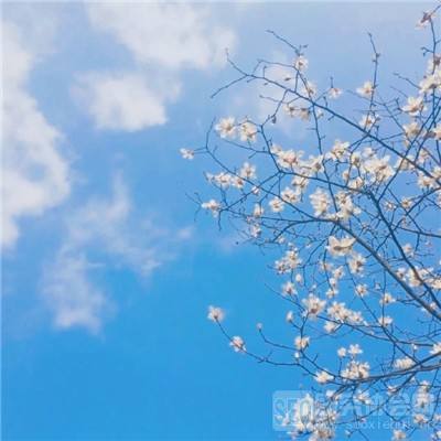 m6米乐网页版登录入口下载手机版截图