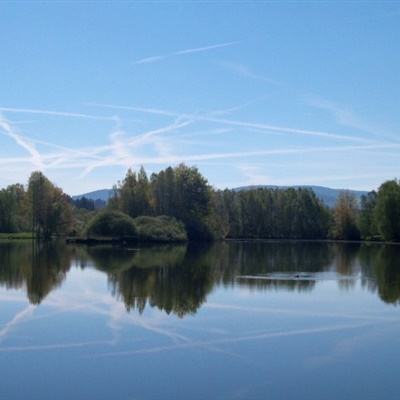 天博平台app下载中心截图