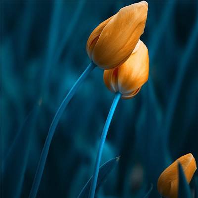 天博平台app下载中心